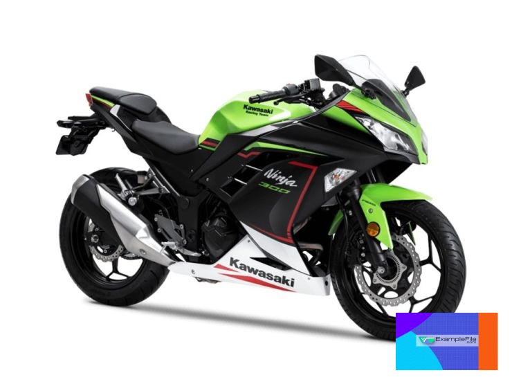 SPBIKE1.jpeg